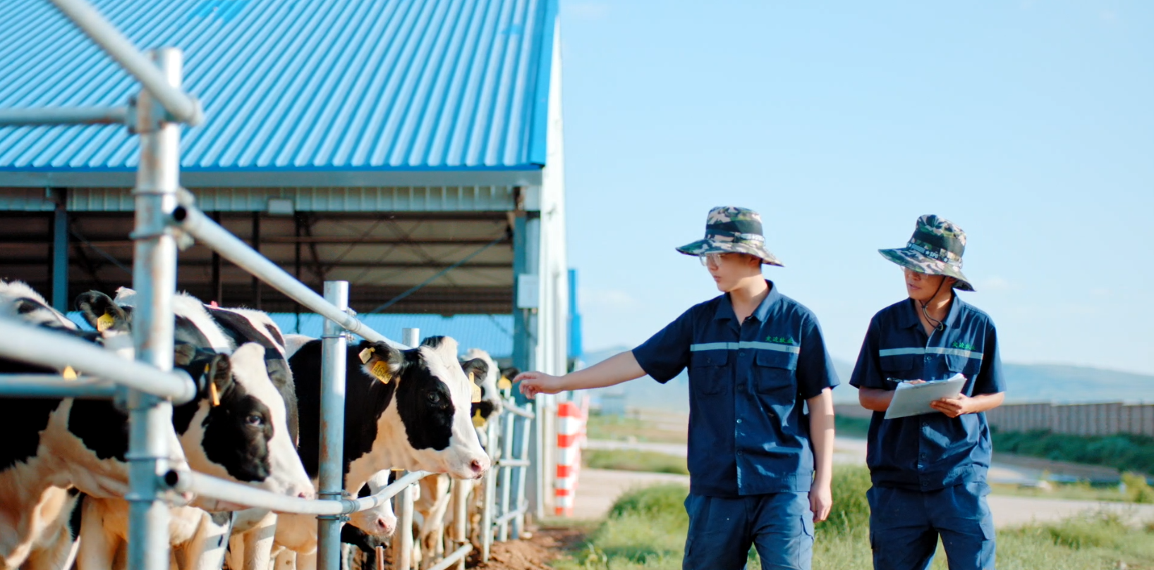 重庆日报：天友鲜奶从牧场到餐桌最快只需12小时